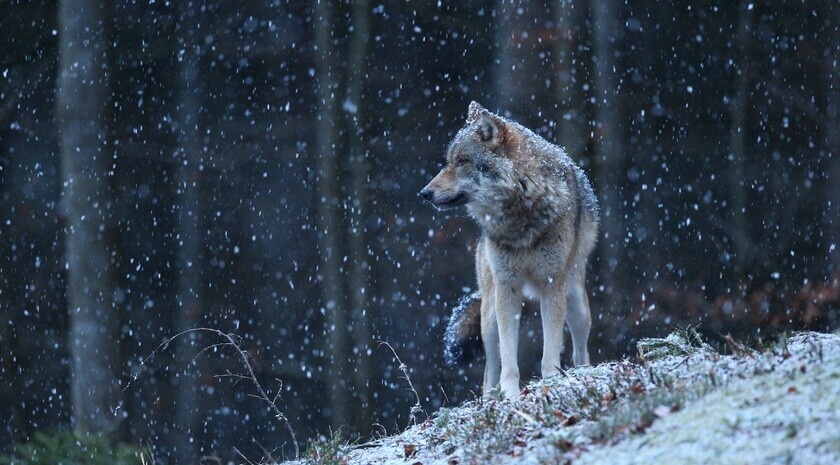    Фото: Freepik.com