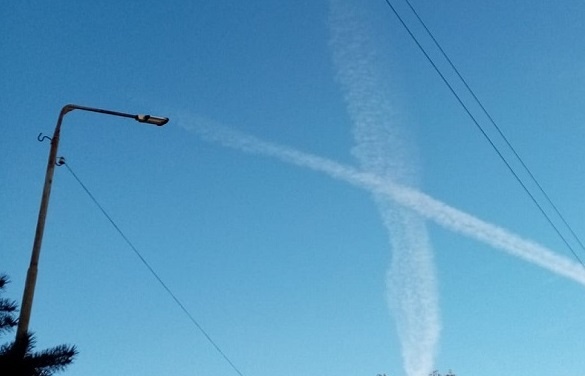    Фото из архива редакции Татьяна Пшеничная