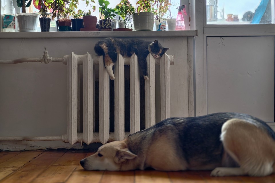    В домах Адмиралтейского района снова тепло. Алексей БУЛАТОВ