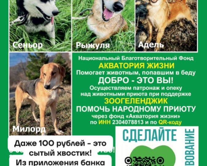 Дорогие ДРУЗЬЯ, спасибо за ваши поздравления