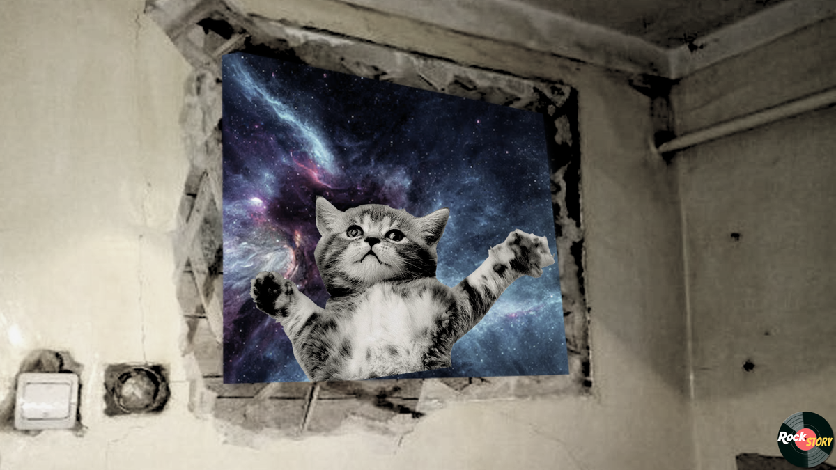 На фотографии: Кот,окно и космос