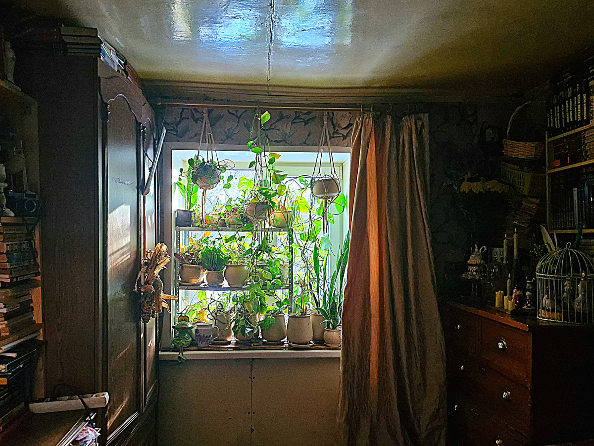 Фото автора 