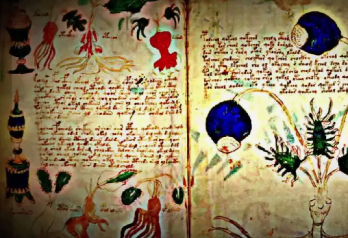 Загадка Манускрипта Войнича