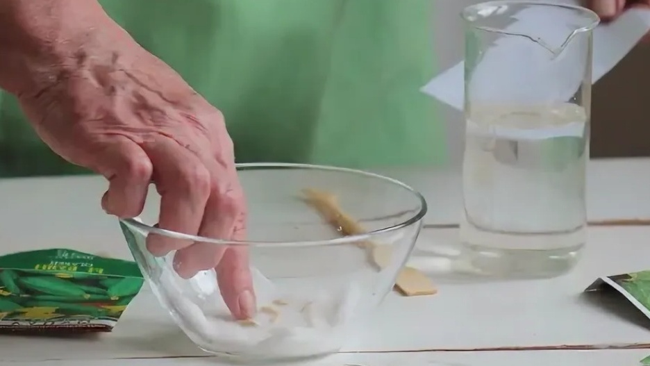 Обработанные семена дают здоровые всходы