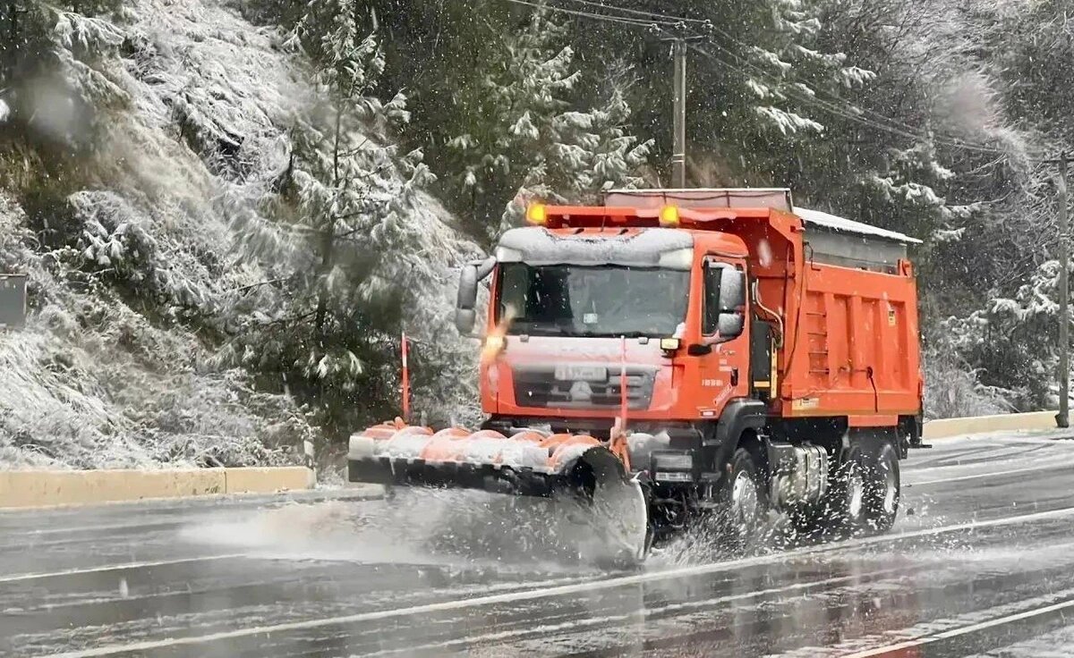    Фото пресс-службы администрации Сочи