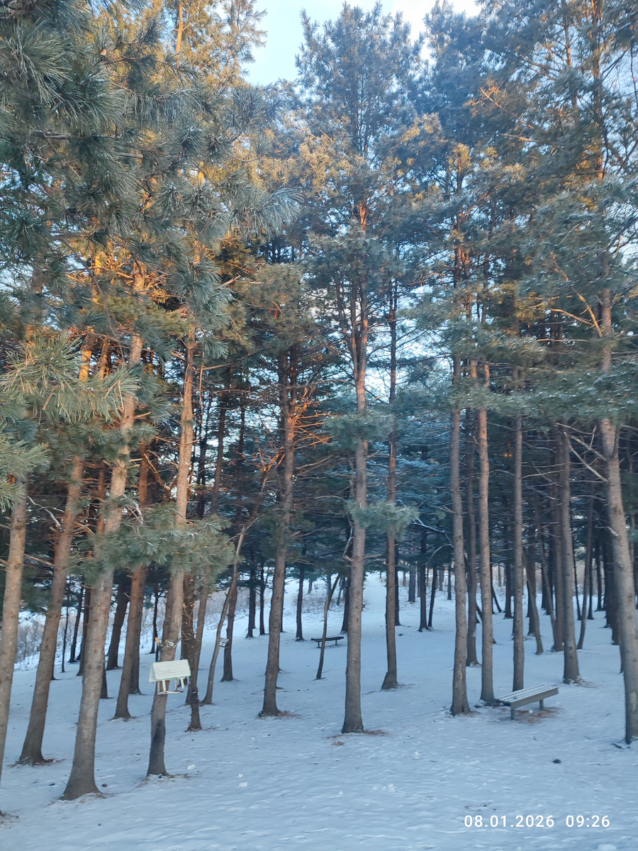 Фото автора.