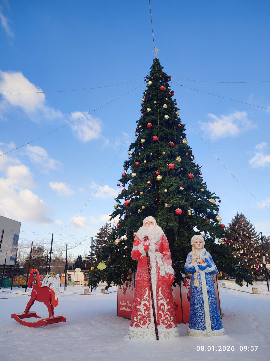 Ёлка в Арсеньеве. Фото автора.