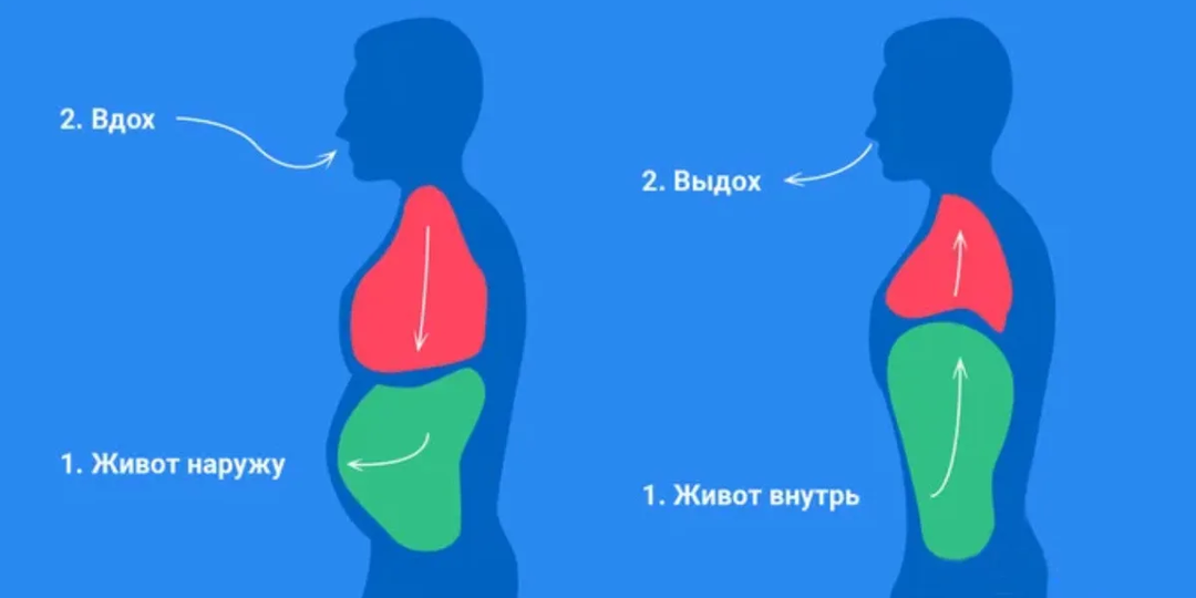 Дыхание животом: невидимая сила, о которой забыли. Польза или миф?