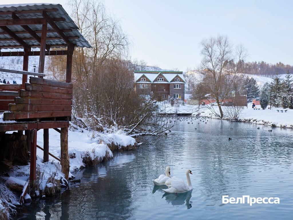     Фото: Елена Журавлёва