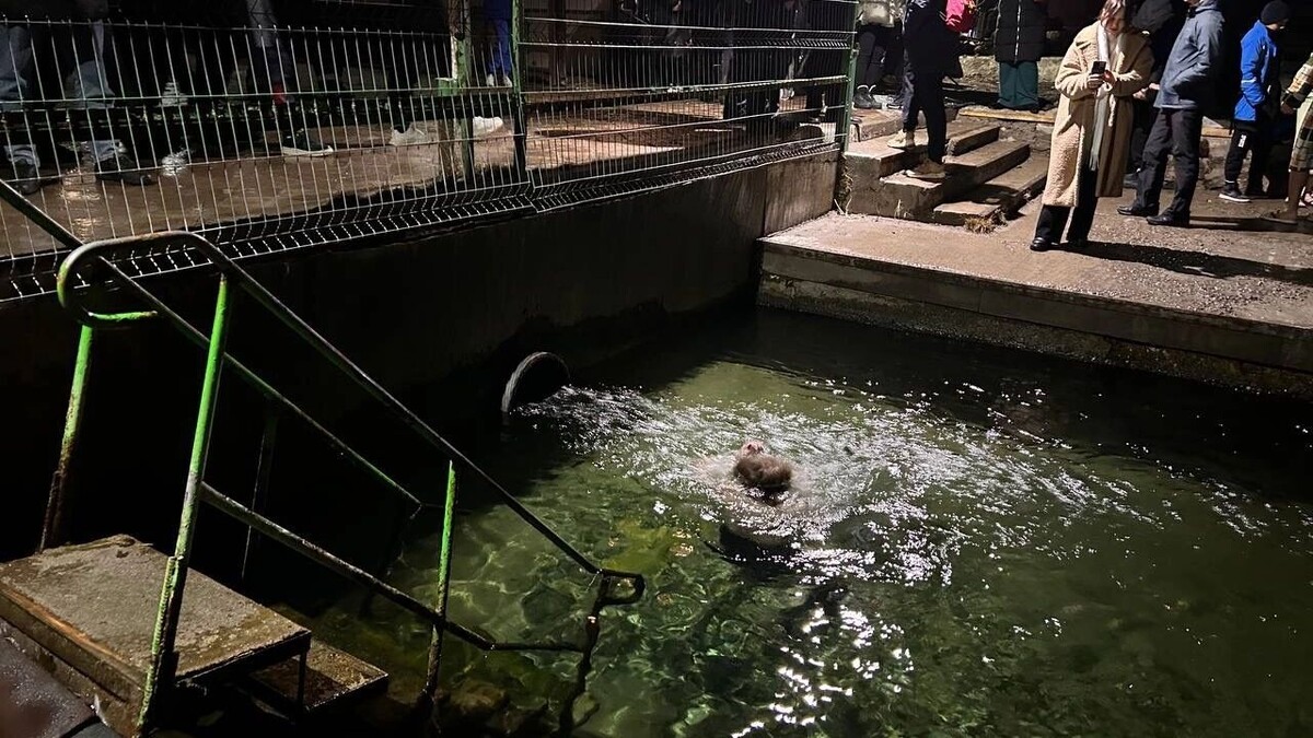    Крещение Господне в Ростове в 2026 году: как подготовиться и что нужно знать?   rostovgazeta.ru