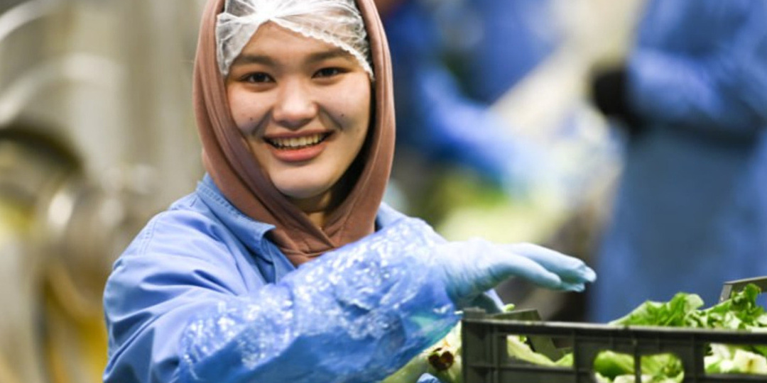 В Тюменской области расширили перечень сфер, где ограничен труд иностранцев