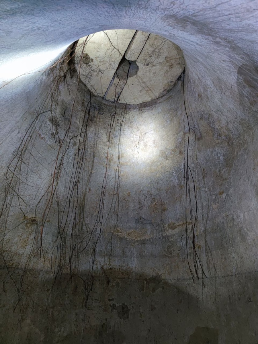 Корни деревьев, растущих наверху, в поисках воды подрались сквозь камень и попали в подземный водный резервуар