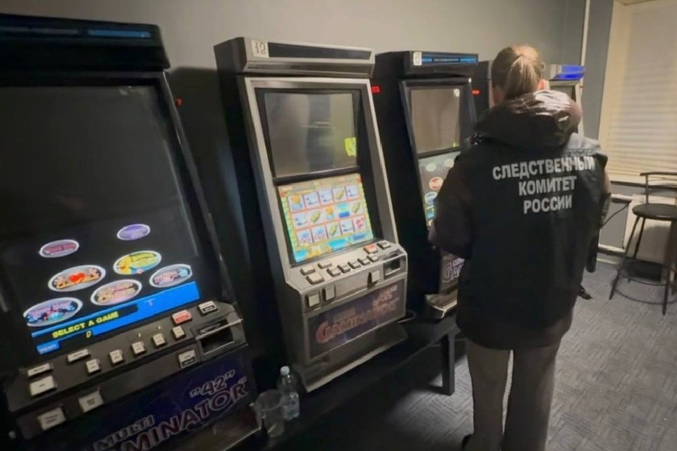    Фото: пресс-служба СК по Петербургу