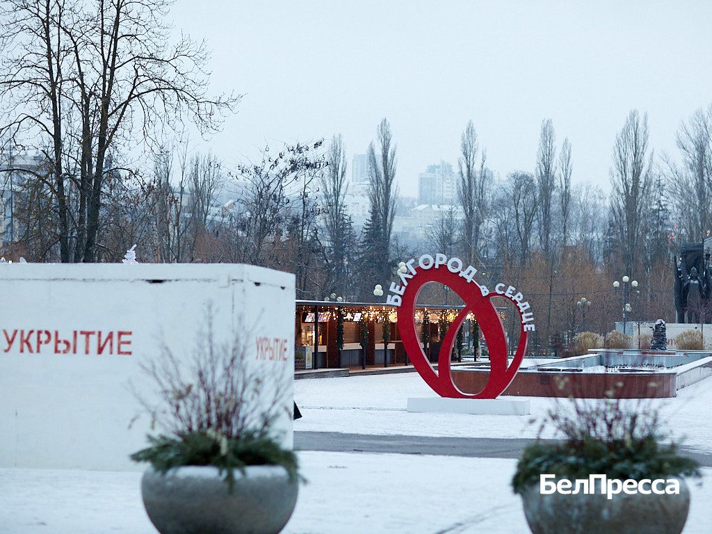     Фото: Елена Журавлёва (архив)