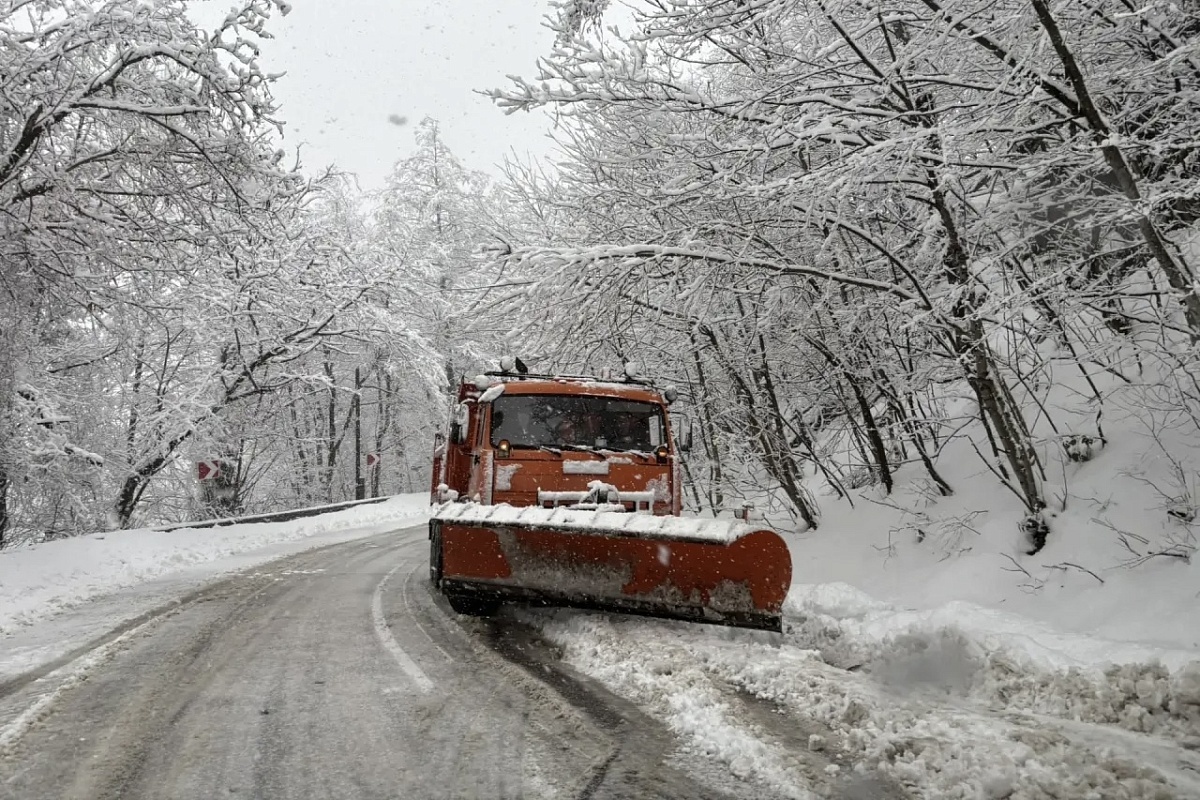    Фото: пресс-служба администрации города Сочи