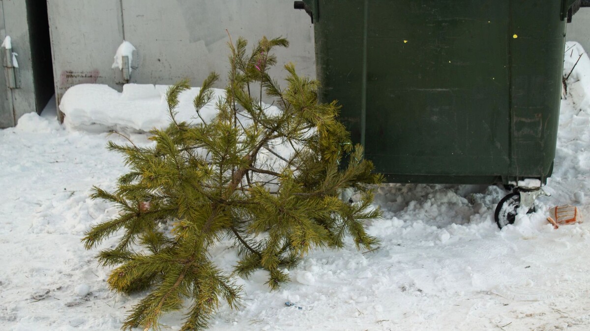    Фото: Helena2000/Shutterstock/Fotodom