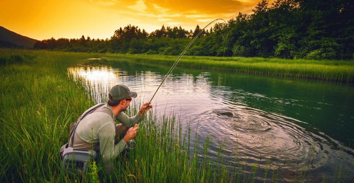 Ловля леща на фидер без суеты: что действительно влияет на результат