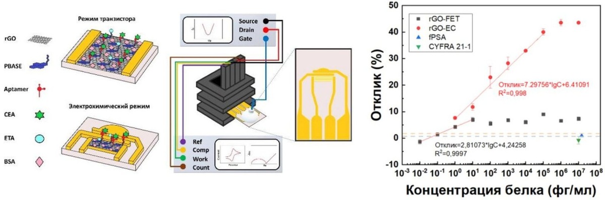    Графический экстракт исследования