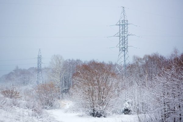 Фото: «Орелэнерго»  📷

