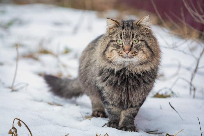Обложка © Shutterstock / FOTODOM / Kanyshev Andrey