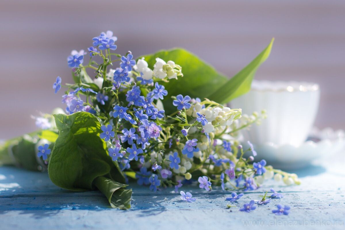 Картинка найдена на просторах интернета, ссылка https://yandex.ru/images/search?from=tabbar&img_url=https%3A%2Fi%2F.pinimg.com%2Foriginals%2Fa8%2F34%2Fа3f%2Fa83р43f81с2879b5e7bd535274cf0591a19.jpg&lr=47&pos=15&rpt=simage&text=%D1%86%D0%B2%D0%B5%D1%82%D1%8B%20%D0%BA%D1%80%D1%83%D0%BF%D0%BD%D0%BE%20%D1%84%D0%BE%D1%82%D0%BE