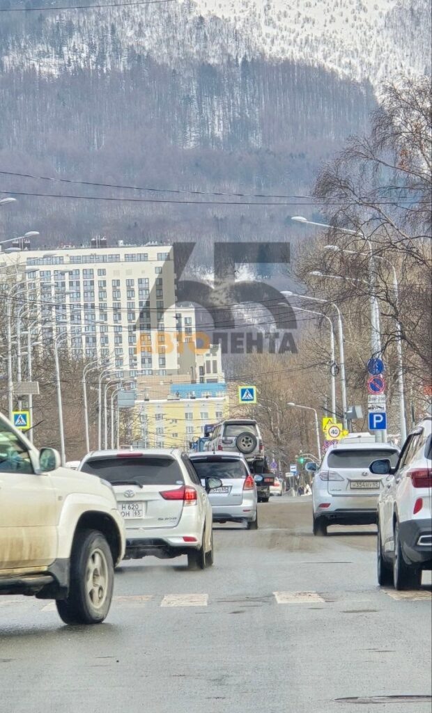    Фото: Telegram-канал «Автолента» Наталья Краснова