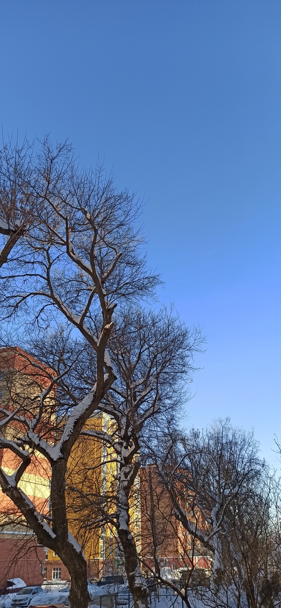 Сегодня у нас чудесная морозная и солнечная погода. Красота!) 