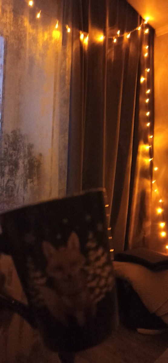 Моё раннее утро. 🥰