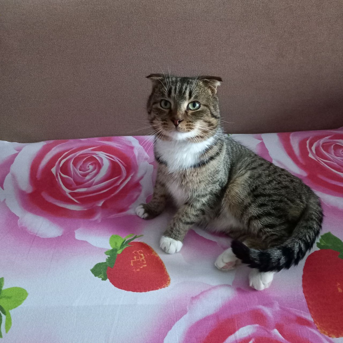 Это Кузя