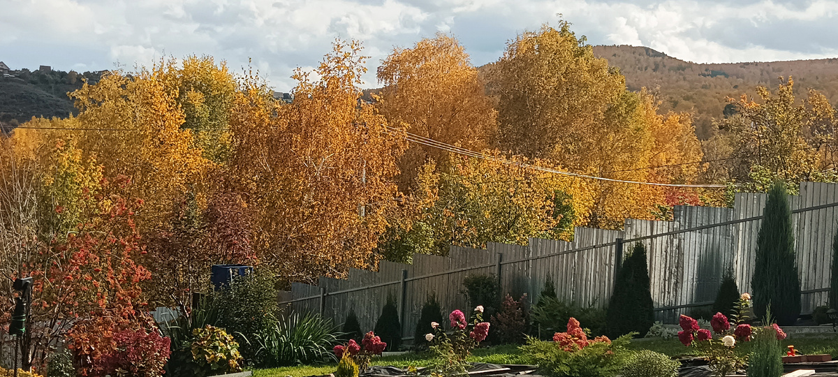 Осень на даче