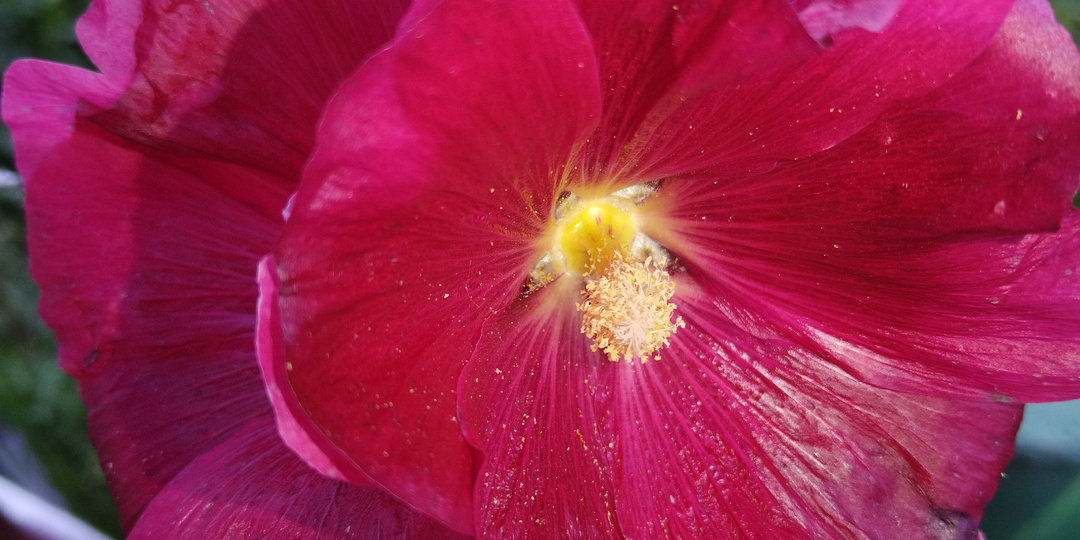 Ну настала моя очередь немного посмеяться