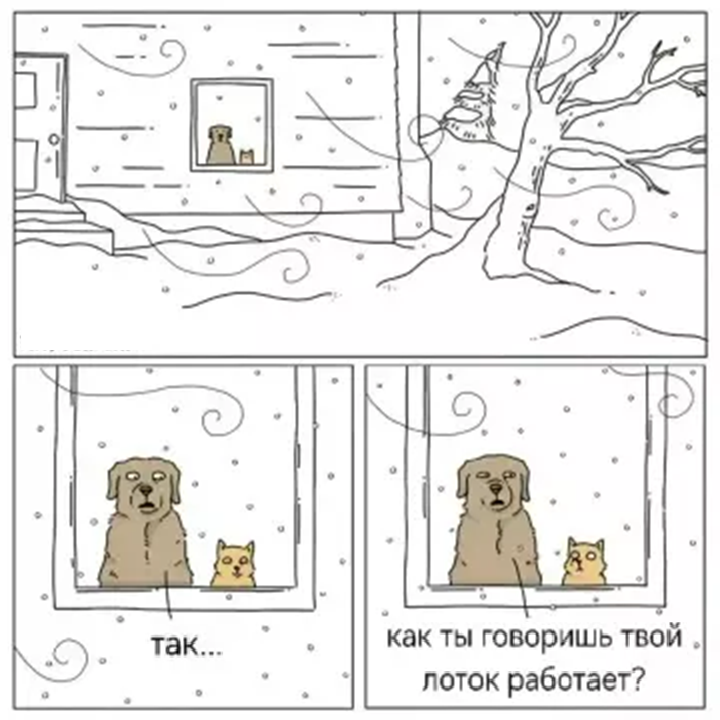 Однажды в минус 20...