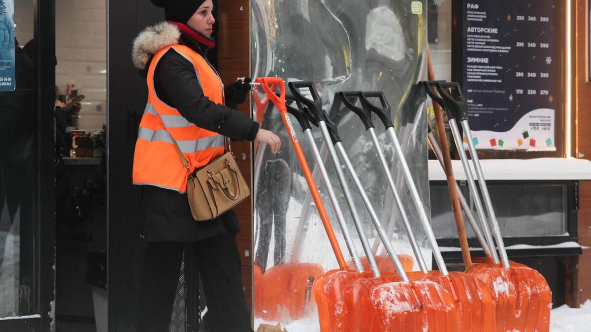    Фото: Belkin Alexey/news.ru