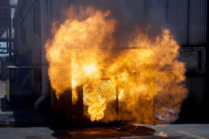 Обложка © Shutterstock / FOTODOM / Robert Wolski