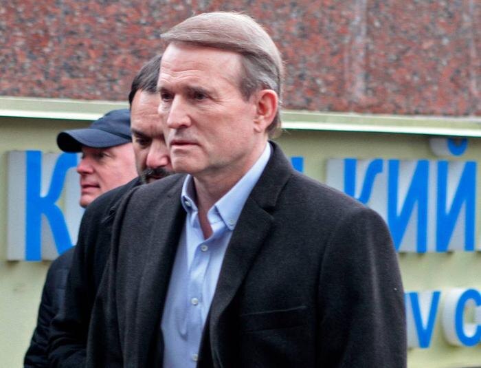 Виктор Медведчук. Обложка © ТАСС / Анна Марченко