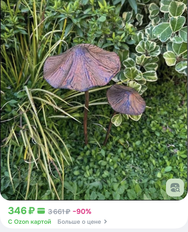 Скрин с Озона