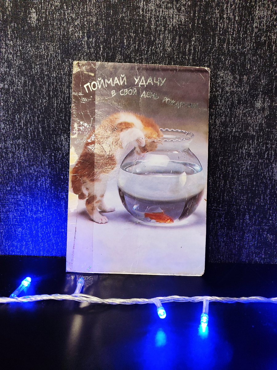 Фото автора