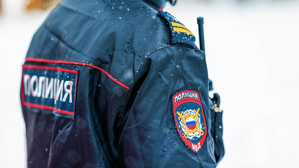    Фото: Shutterstock