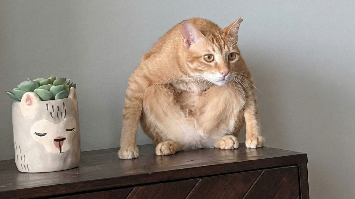 В смысле - я здесь не главный?