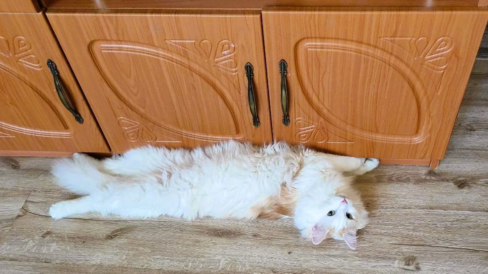 Я не вредный, а талантливый