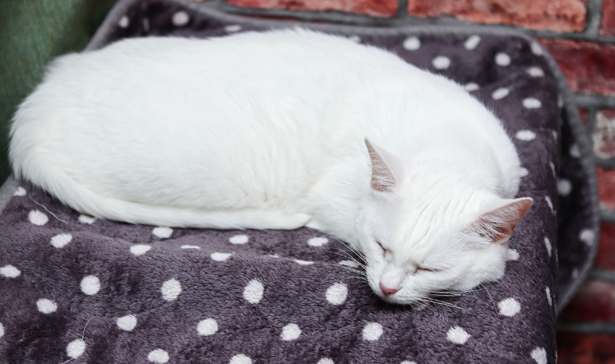 А вы мне тоже были не интересны, если что!