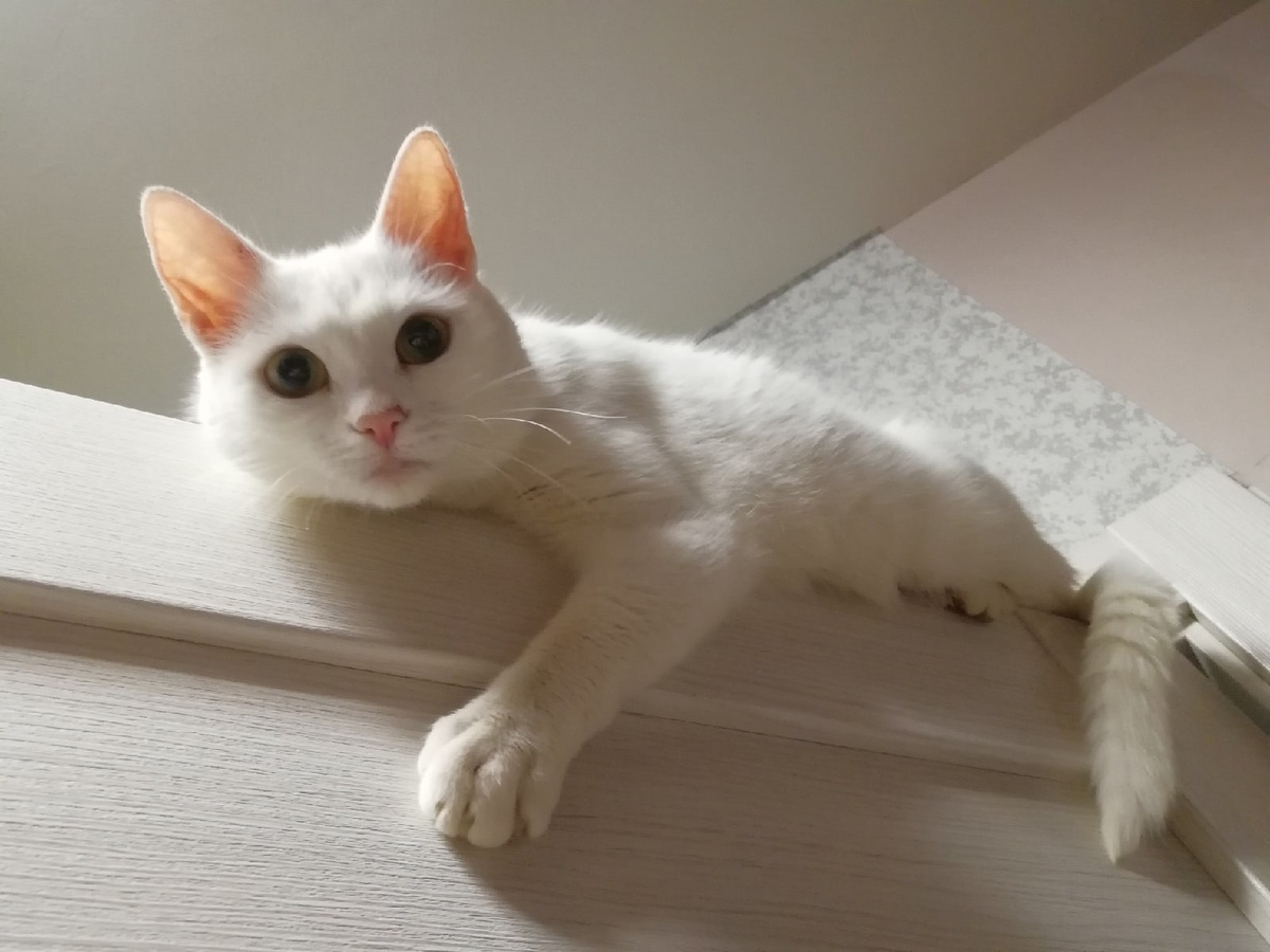 Щас за дурака мне тут все ответите! (Мы и ответили!))