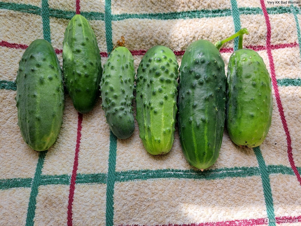 Фотография из интернета