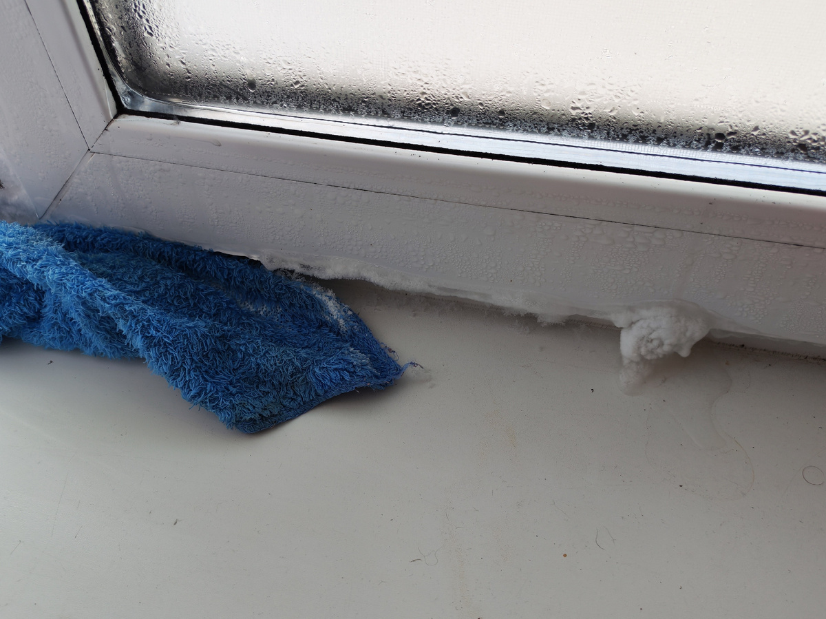 Личное фото автора канала