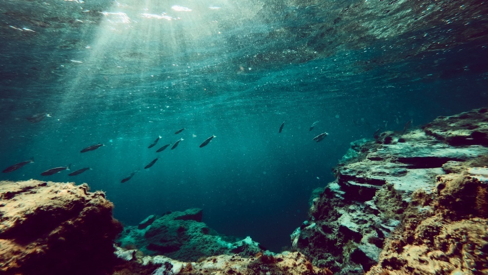     Фото: Zivica Kerkez/Shutterstock/FOTODOM