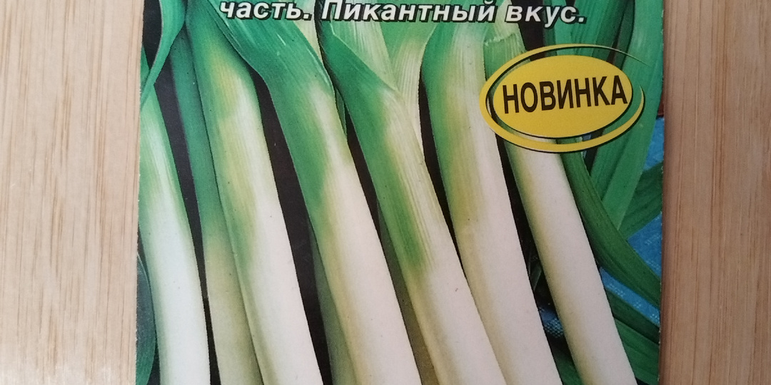 Готовлюсь посеять лук-порей на рассаду.