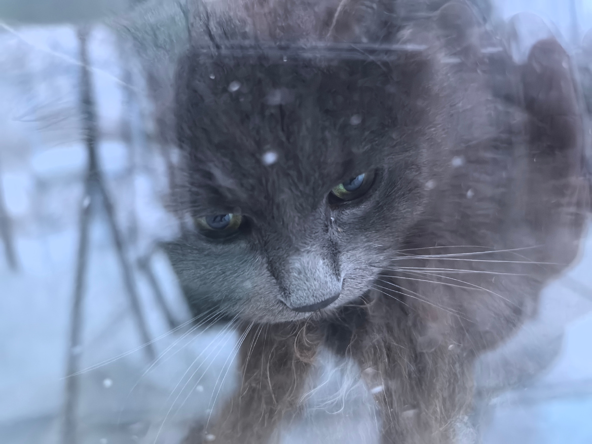 Убери все это немедленно!