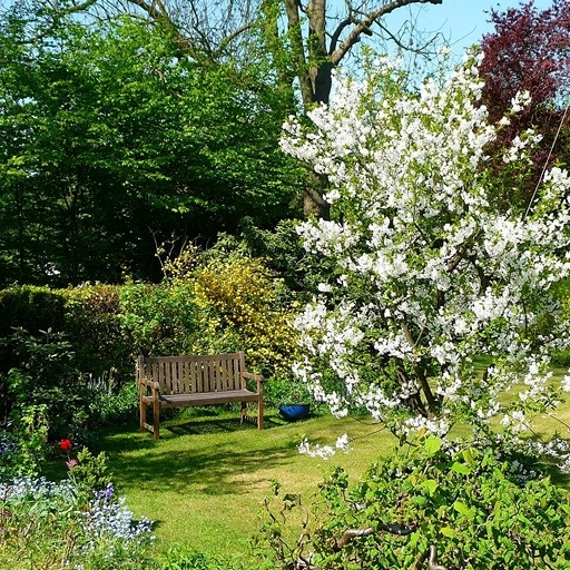    Сад в 2026 году Кристина Борунова