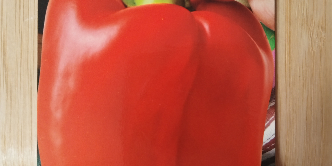 Готовлюсь к посеву семян. Мои любимые семена. Благоприятные дни для посева перца.