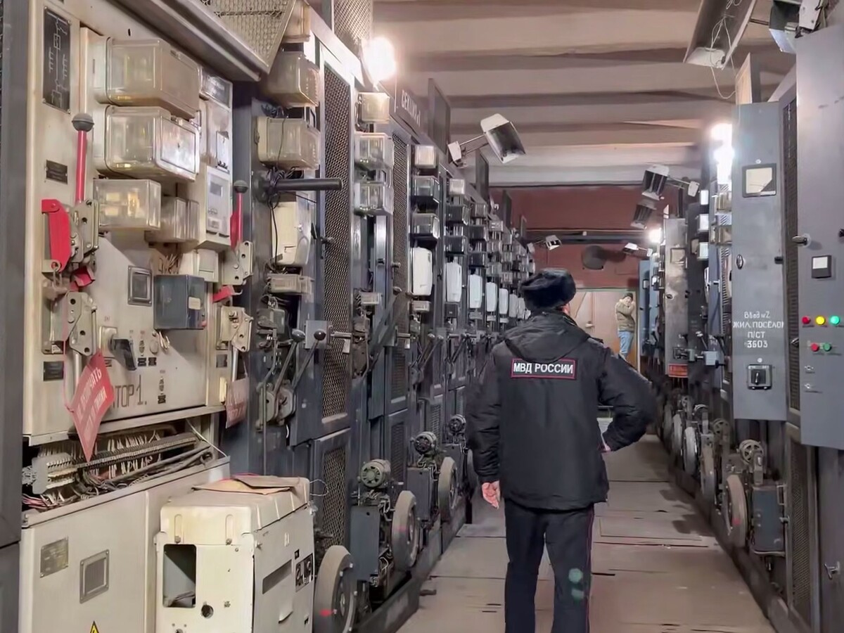 Фото: скриншот видео официального представителя МВД России Ирины Волк